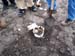 V2 Crash Photo number 6